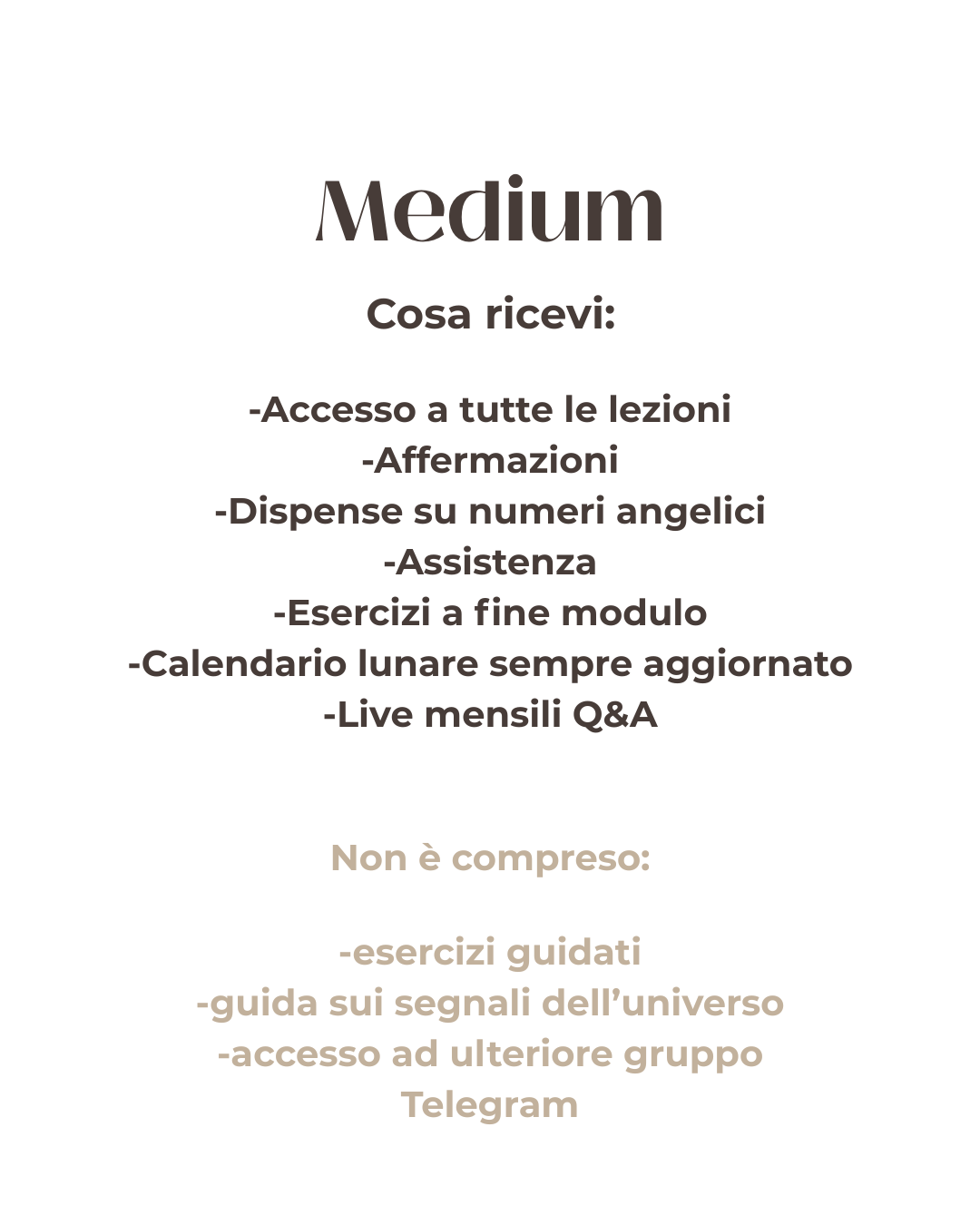 Manifest Mastery School MEDIUM